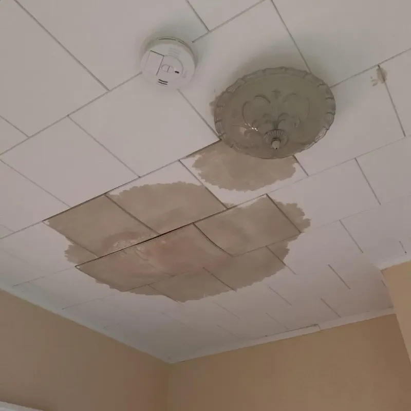 Ceiling Water Damage Repair in New Berlin, WI