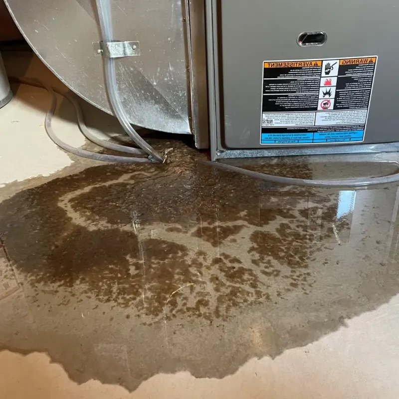 Pipe Burst and Leak Restoration in New Berlin, WI